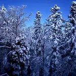 Skicity Pohorje Bellevue 公寓 霍茨科波霍尔耶
