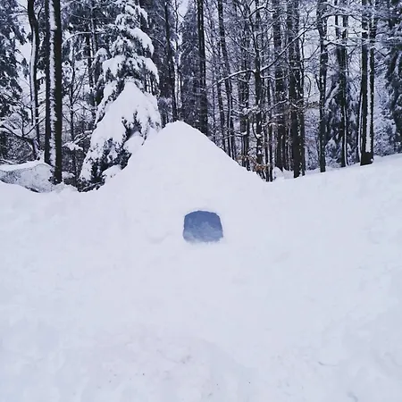 Διαμέρισμα Skicity Pohorje Bellevue *