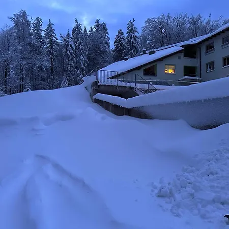 Skicity Pohorje Bellevue * Hočko Pohorje