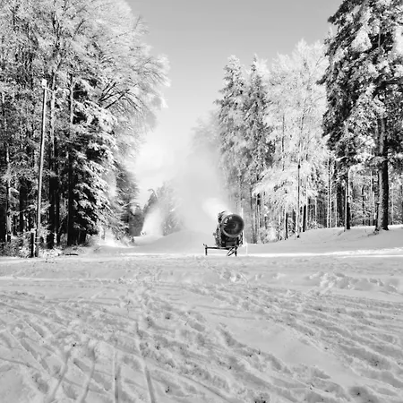 Skicity Pohorje Bellevue Appartement *