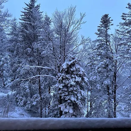 Skicity Pohorje Bellevue *