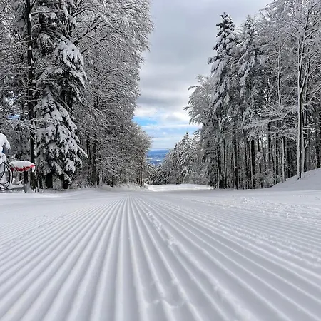 Skicity Pohorje Bellevue