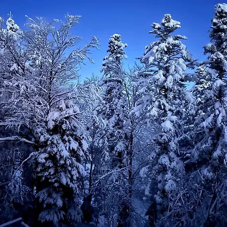 Skicity Pohorje Bellevue Apartman Hocko Pohorje