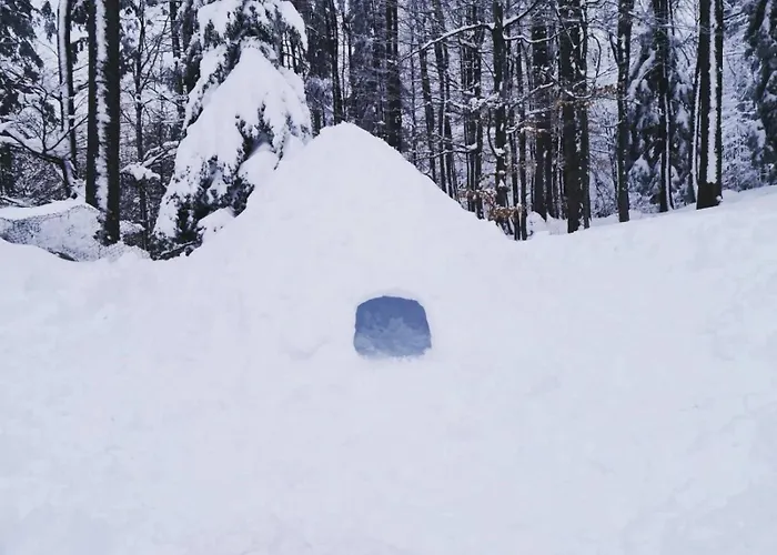 Apartmán Skicity Pohorje Bellevue *