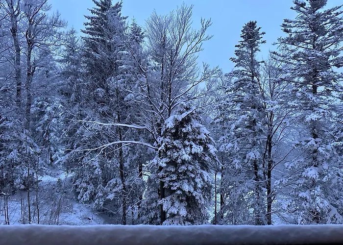 Skicity Pohorje Bellevue *