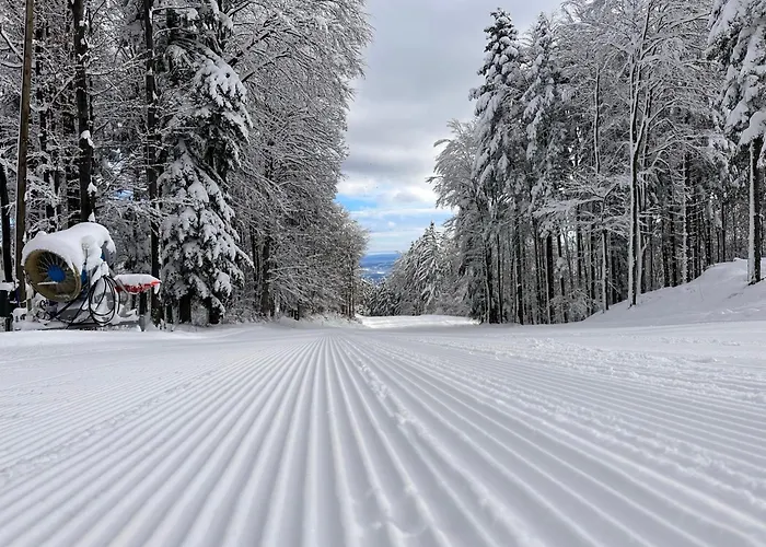 Skicity Pohorje Bellevue