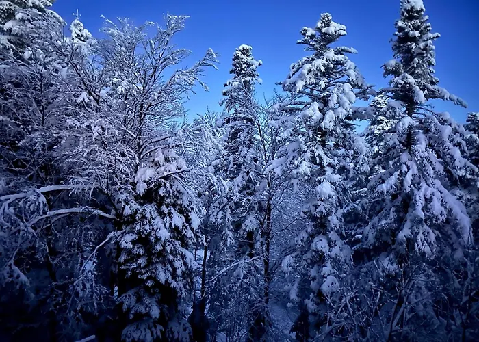 Skicity Pohorje Bellevue Apartmán Hočko Pohorje